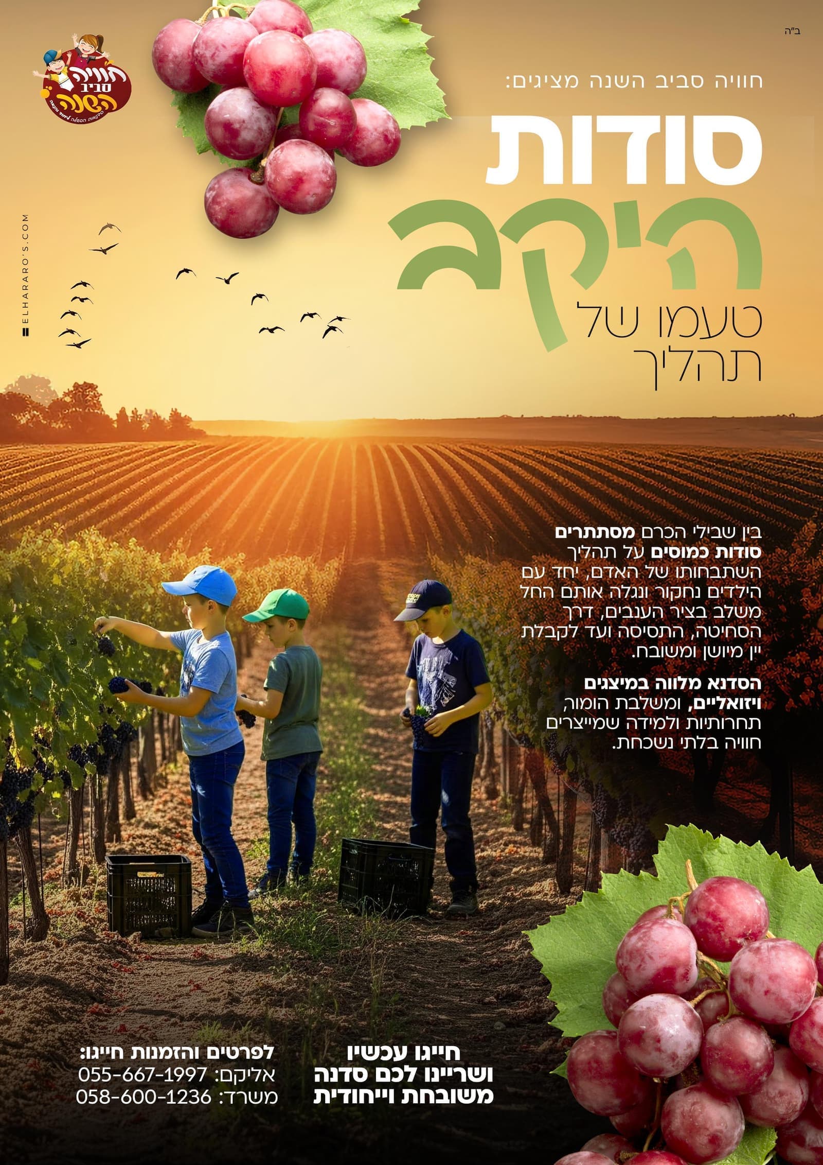 סודות היקב